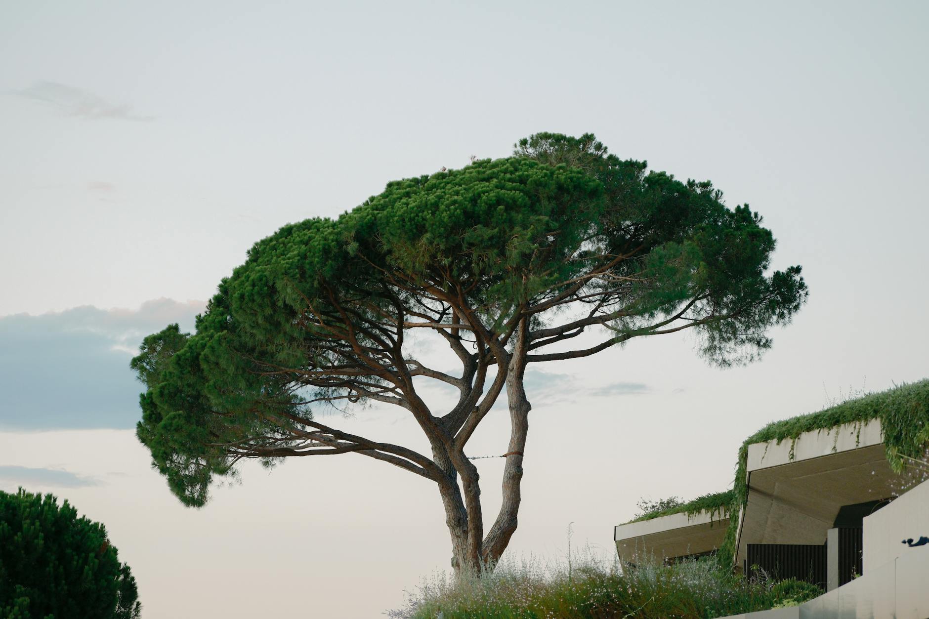 File Management and Client Workflow: The Foundation of a Profitable Photography Business