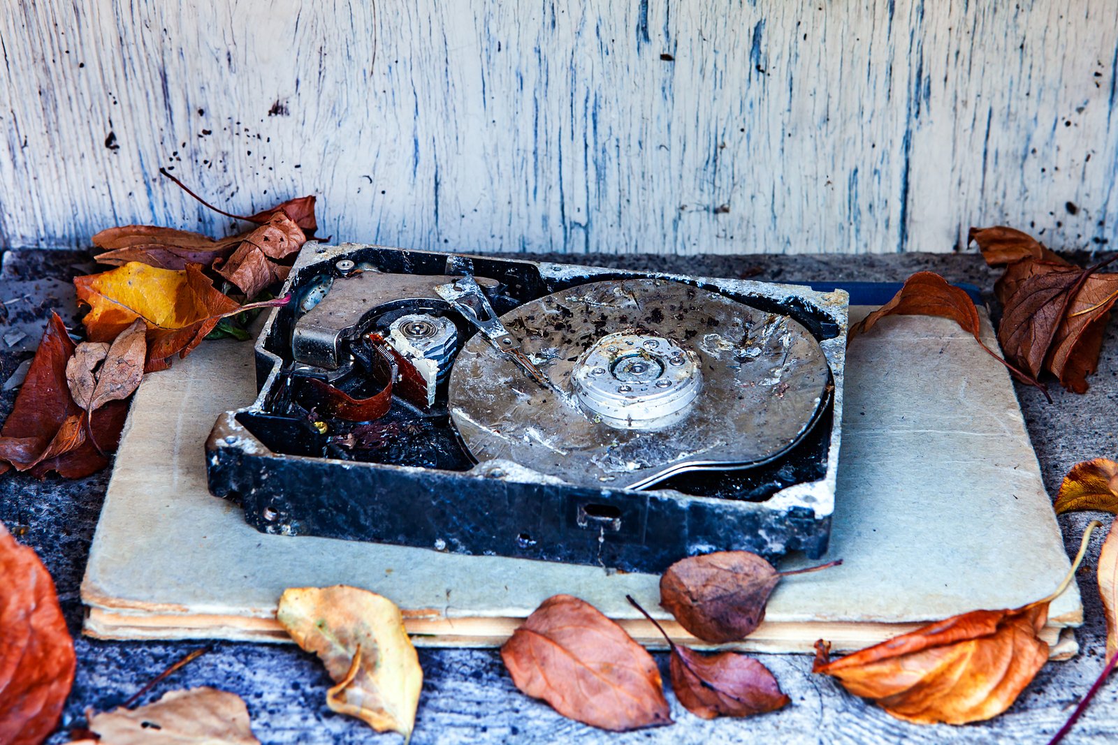If Your Hard Drive Died Tonight, Would Your Business Survive?