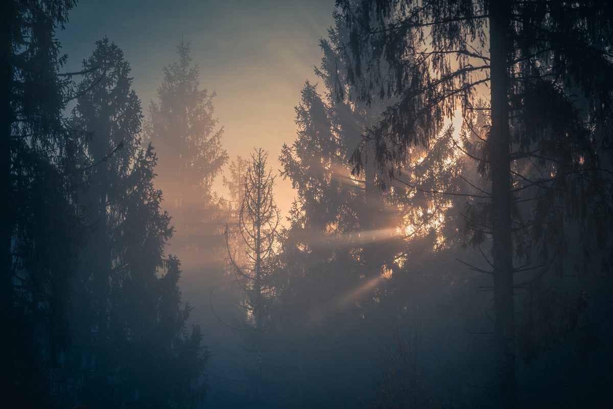 Print Prep Done Right: The Professional Photography Workflow That Protects Your Reputation