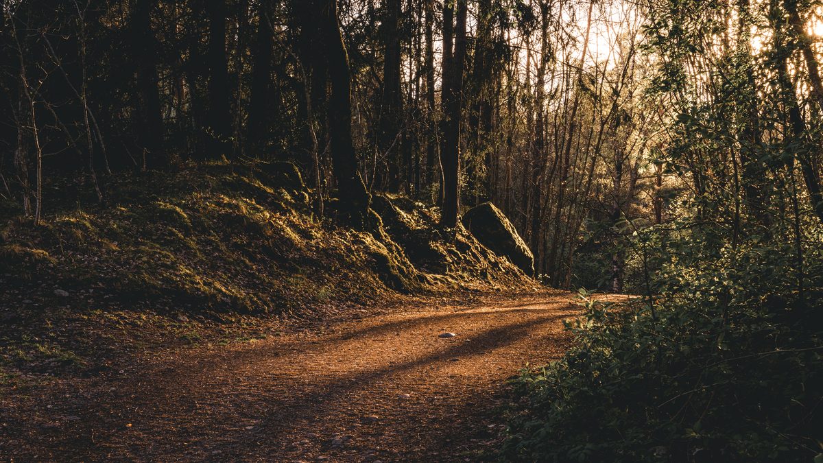 Professional Photography Workflow: Systems That Actually Save Time and Money