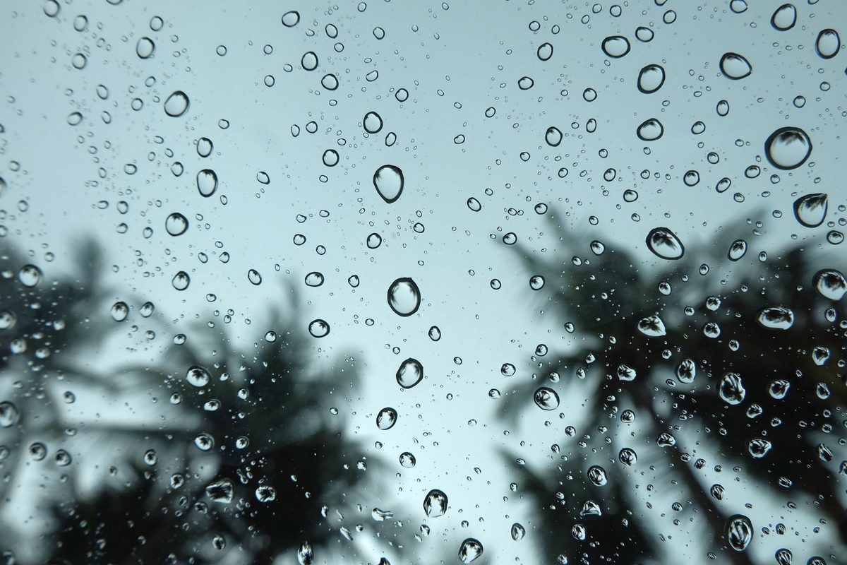 The Backup Strategy That Saved My Photography Business (And How to Build Yours)