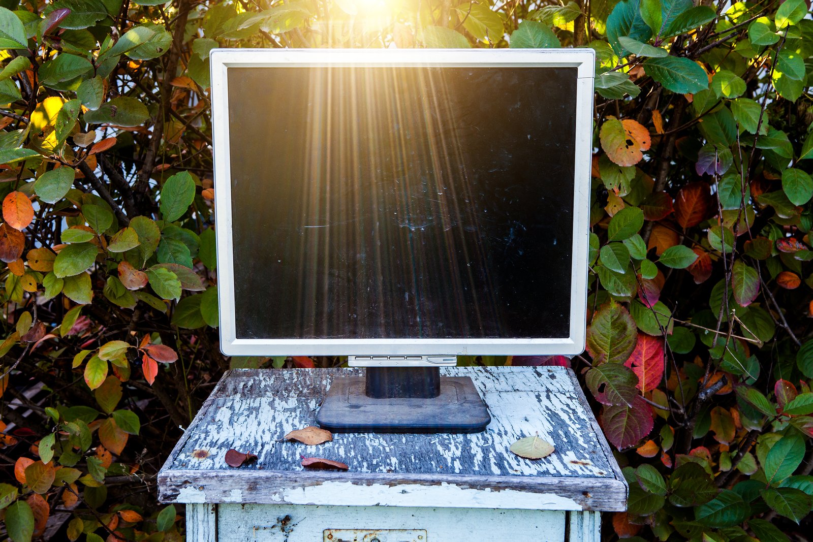 Your Monitor Is Lying to You: Why Calibration Is the Foundation of a Professional Photo Workflow